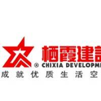 棲霞建設(shè)董事會決議公告 選舉江勁松為董事長、總裁及投資興辦實業(yè)